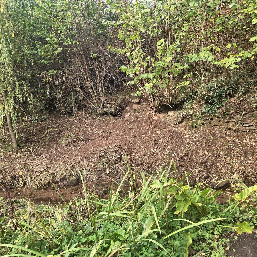 Bamboo Removal, after the work