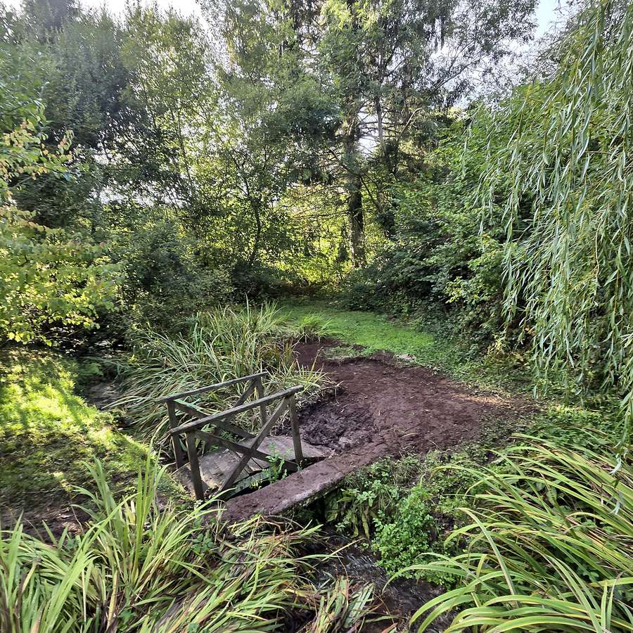 Reed Removal, after the work