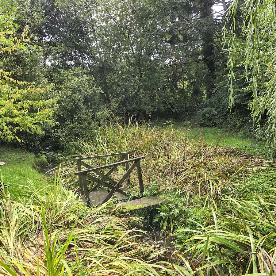 Reed Removal, before the work